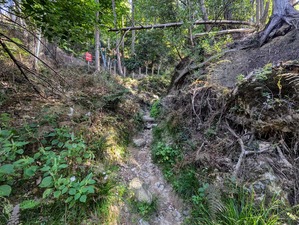 PXL_20241002_005506366