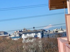 IMG_2358