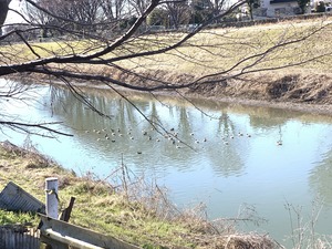 IMG_4029