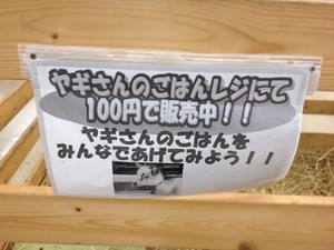 写真 2