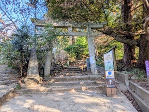 PXL_20260204_235525170~2