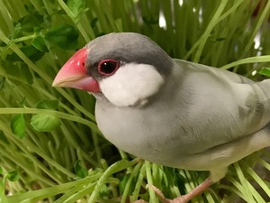 IMG_0804