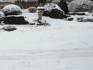 PXL_20230210_015439742