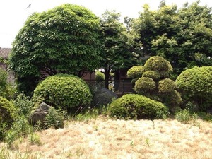 写真 2