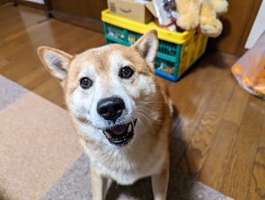 PXL_20231223_070352119