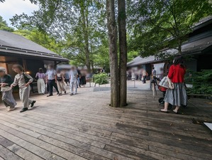 PXL_20230824_040915709