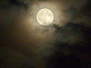 PXL_20240523_142134813