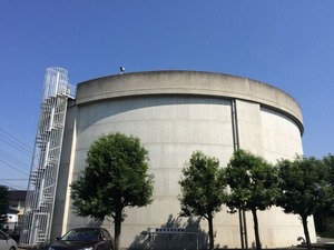 IMG_5338