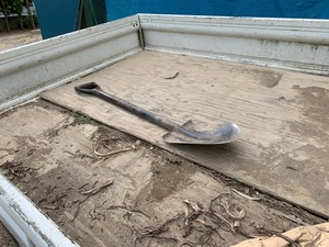 IMG_6310