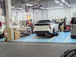 PXL_20241128_033241938~2