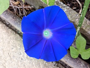 PXL_20230920_212129808-EDIT