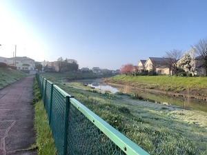 IMG_9934