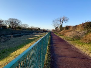 IMG_0478