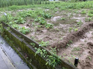 IMG_1144