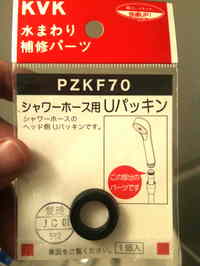 ������ʬ