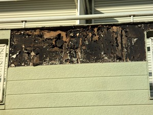 PXL_20250223_064447537