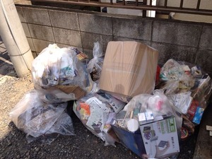 写真 1 (3)