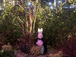 IMG_8184