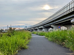 PXL_20240927_214505494-EDIT