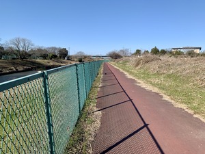 IMG_3908