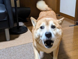 PXL_20231223_070456858