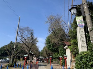 IMG_3138