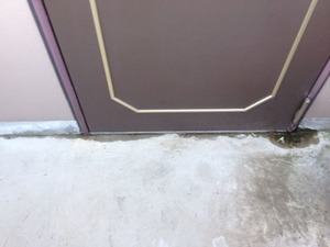 ���������