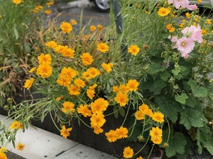 IMG_0747