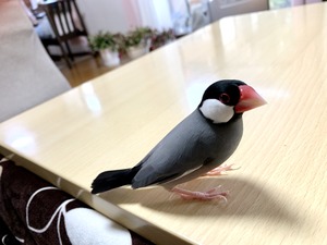 IMG_8709