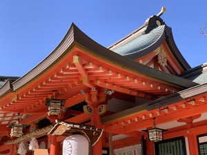 IMG_8221