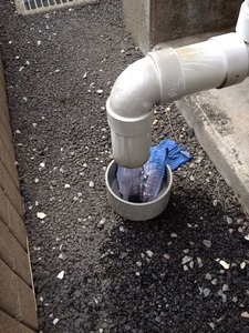 写真 2 (2)