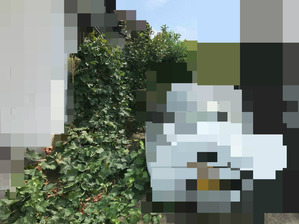 BlogPaint