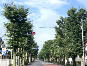 IMG_2137