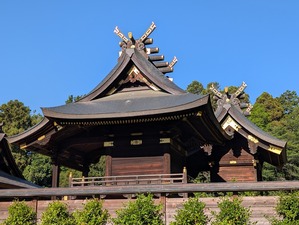 06016