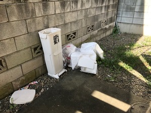 IMG_6698