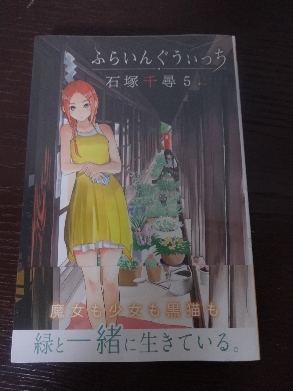 ふらいんぐうぃっち第5巻 B B L T ふらいんぐうぃっち第5巻 B B L T