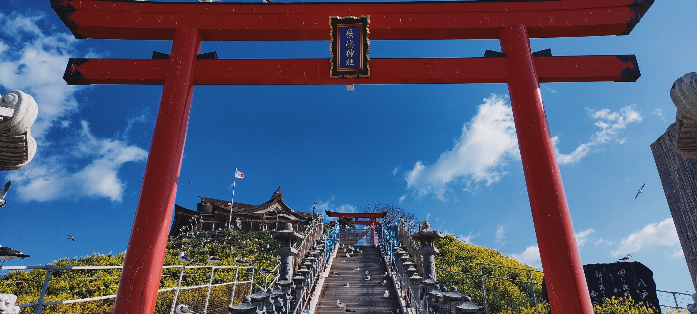 蕪島神社 くまの週末グルメモ 蕪島神社 くまの週末グルメモ