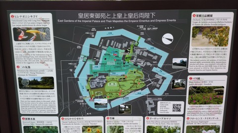 IMG_20190501_135757