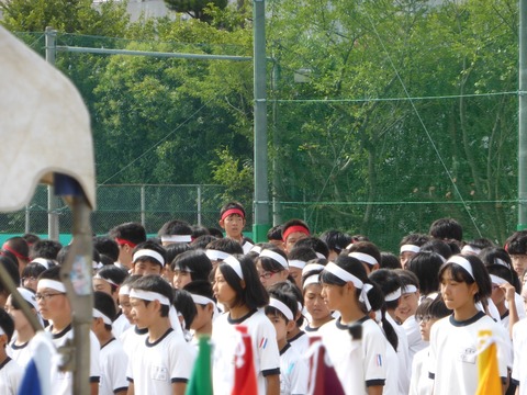 Z101長身のナオヤ