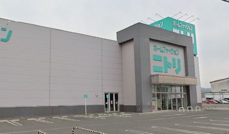 pachi02079