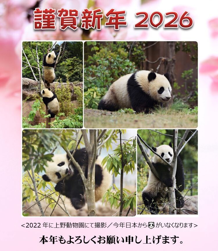 ǯ��2026