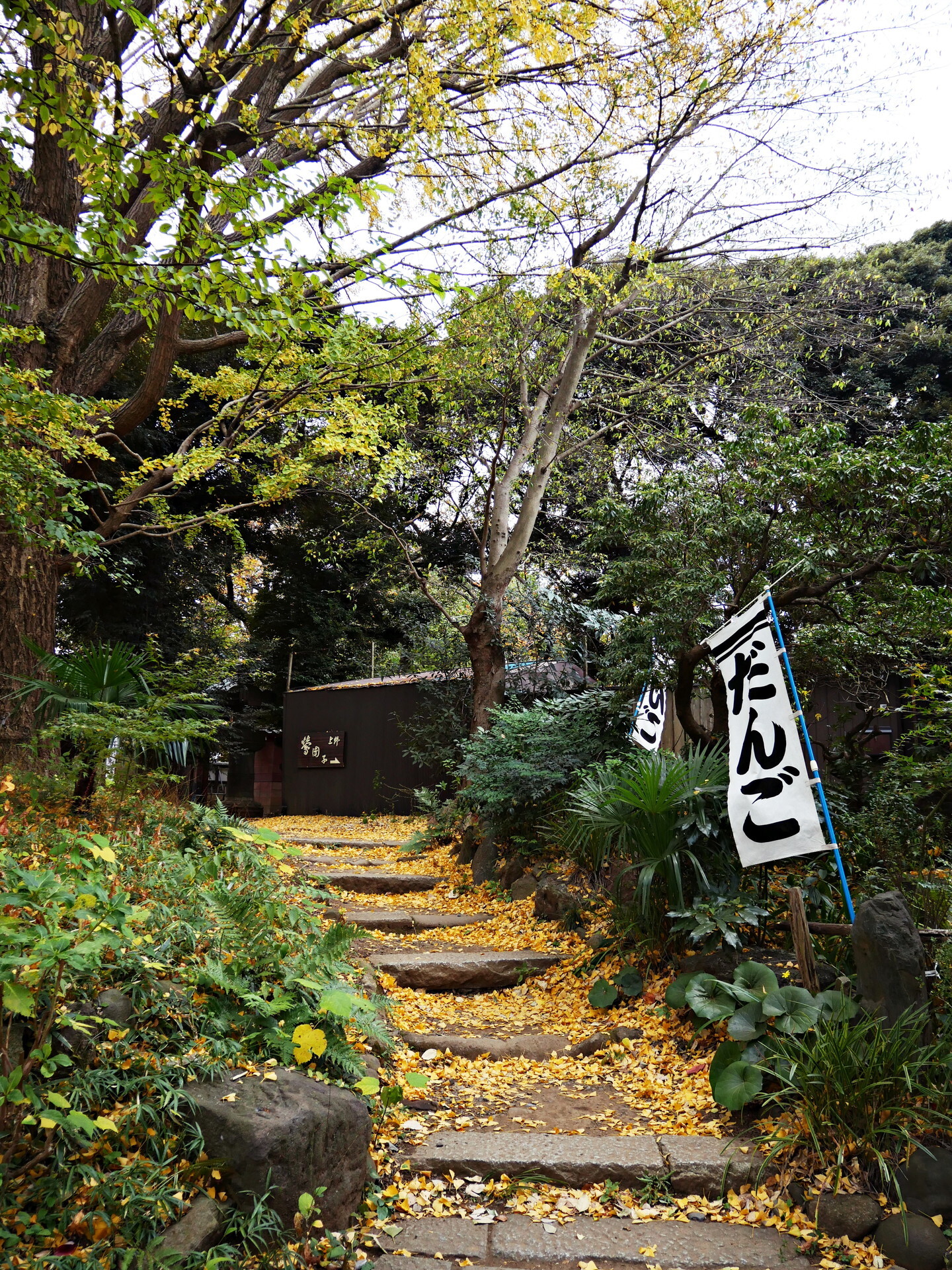 P1000077