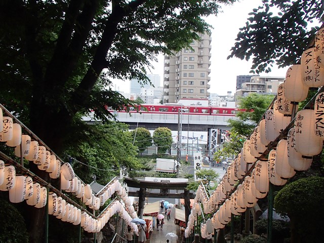 P6050007