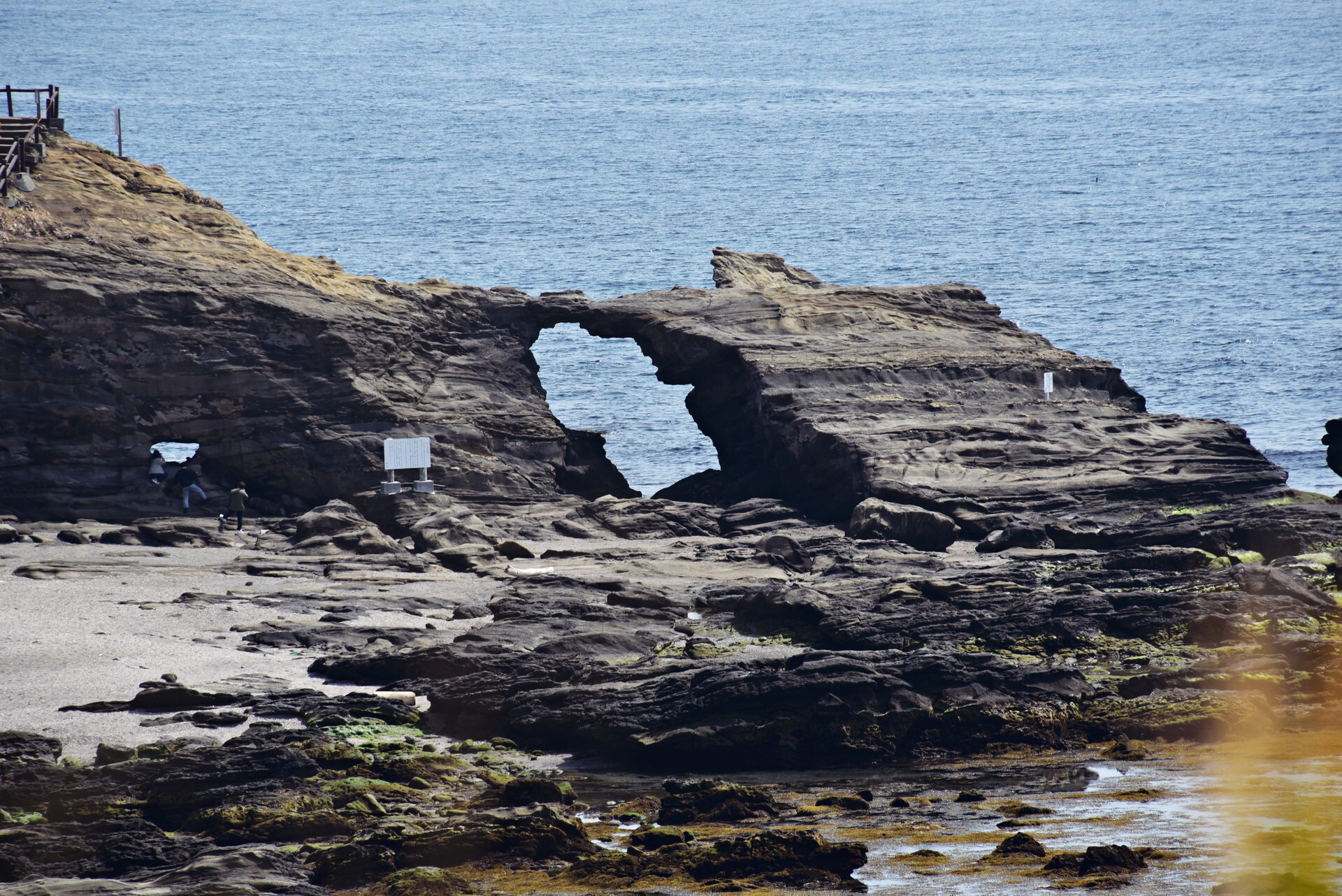 DSC_1599