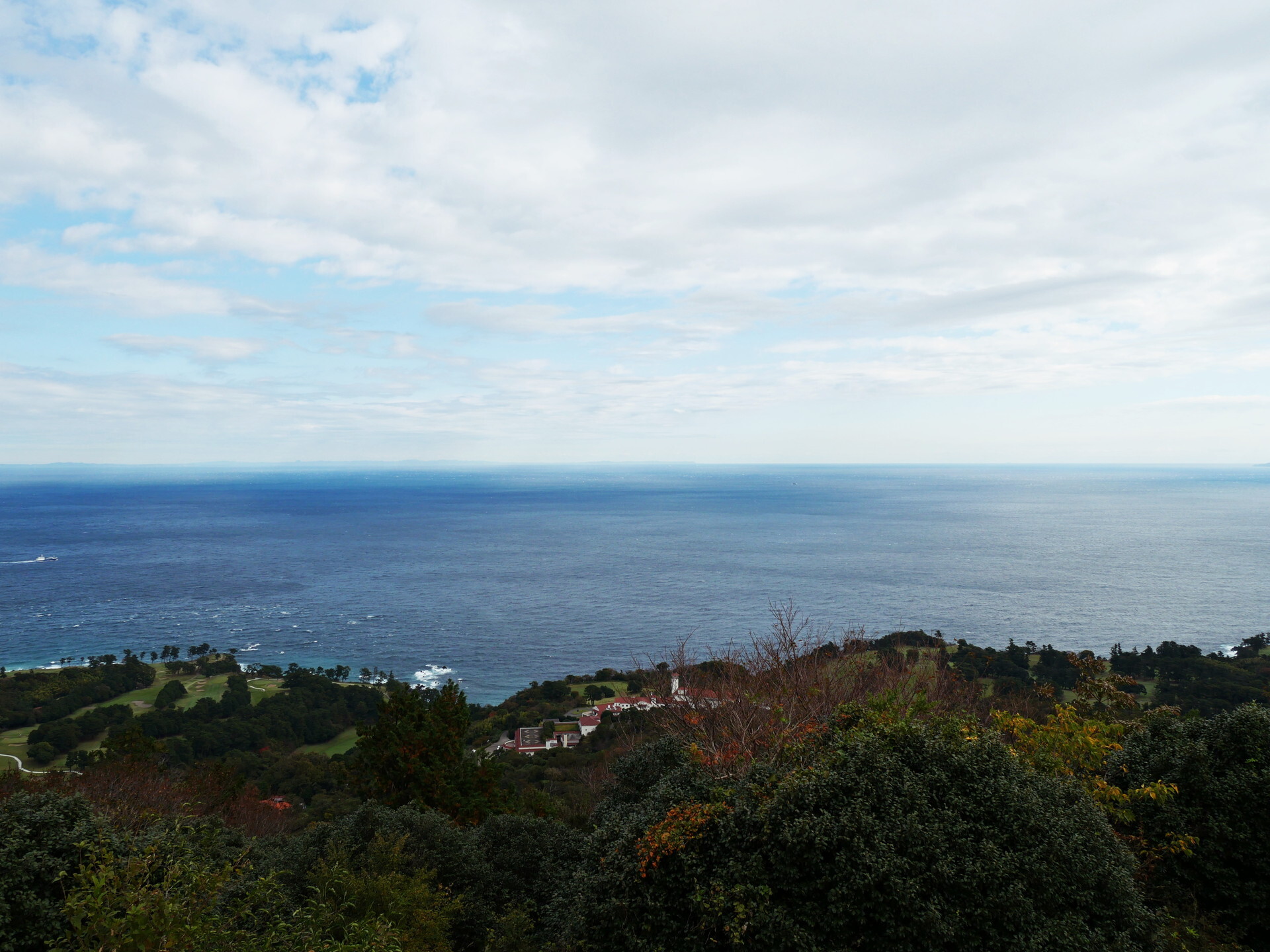P1002677