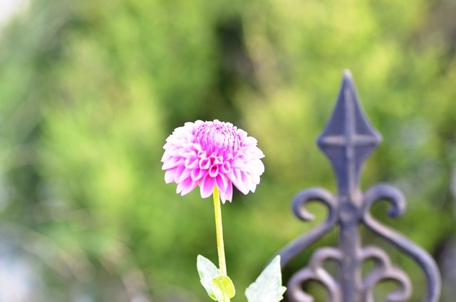 4_5