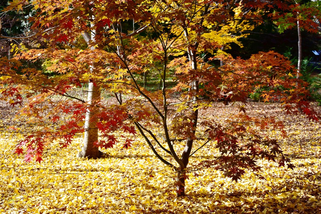 DSC_6922