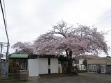 RIMG0898
