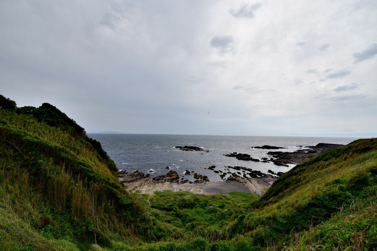 DSC_6491