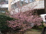 RIMG0829